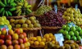 نقش مؤثر تغذیه بر تسریع بهبودی بدن در برابر ویروس کرونا