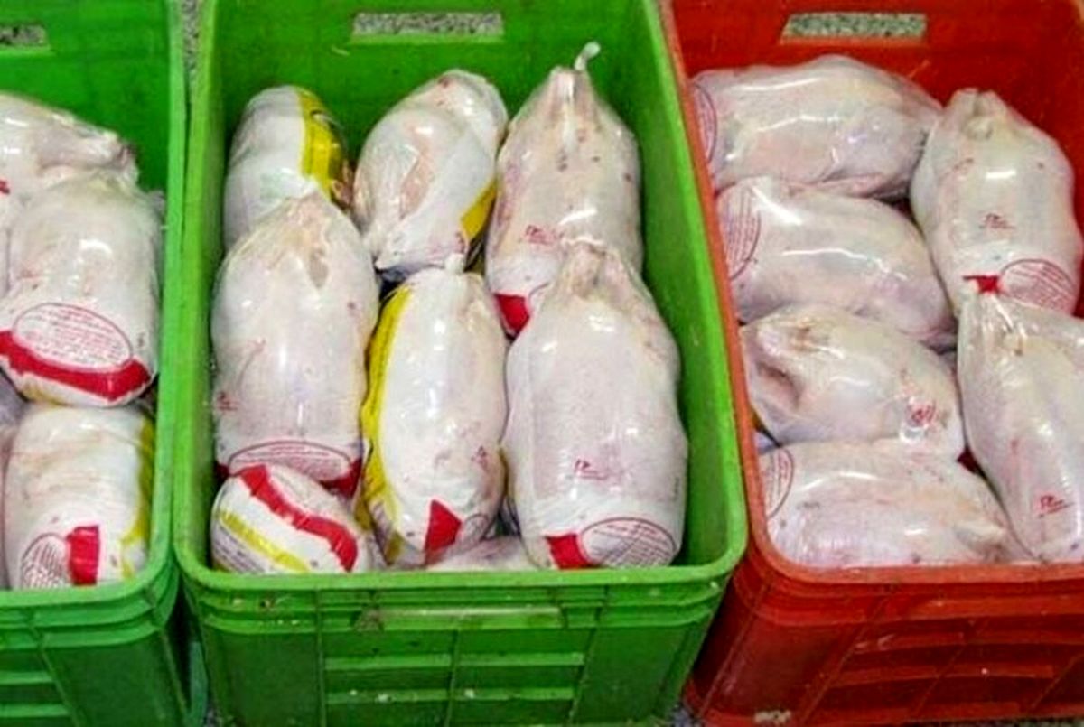 ۳۰ تن مرغ منجمد در الیگودرز توزیع شد