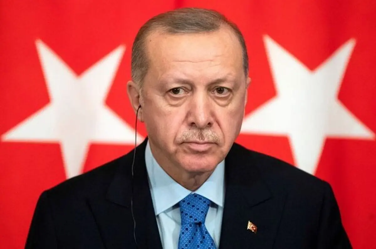اردوغان: امیدوارم فرانسه هرچه ‌زودتر از شر ماکرون خلاص شود