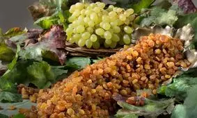 عضو شورای شهر: اظهارات نسنجیده نماینده مجلس باعث ضرر انگورداران ترشیز شد/ یک باغدار: با داشتن ۵٠ خروار کشمش در انبار، مجبورم گدایی‌کنم