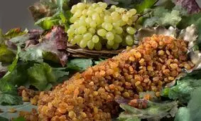 عضو شورای شهر: اظهارات نسنجیده نماینده مجلس باعث ضرر انگورداران ترشیز شد/ یک باغدار: با داشتن ۵٠ خروار کشمش در انبار، مجبورم گدایی‌کنم