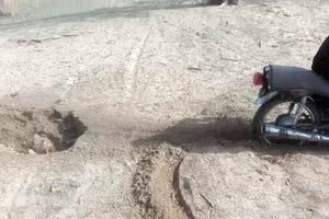 شناسایی عامل زنده به گور کردن یک قلاده سگ در شهرستان بوشهر