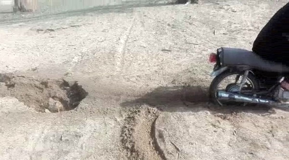 شناسایی عامل زنده به گور کردن یک قلاده سگ در شهرستان بوشهر