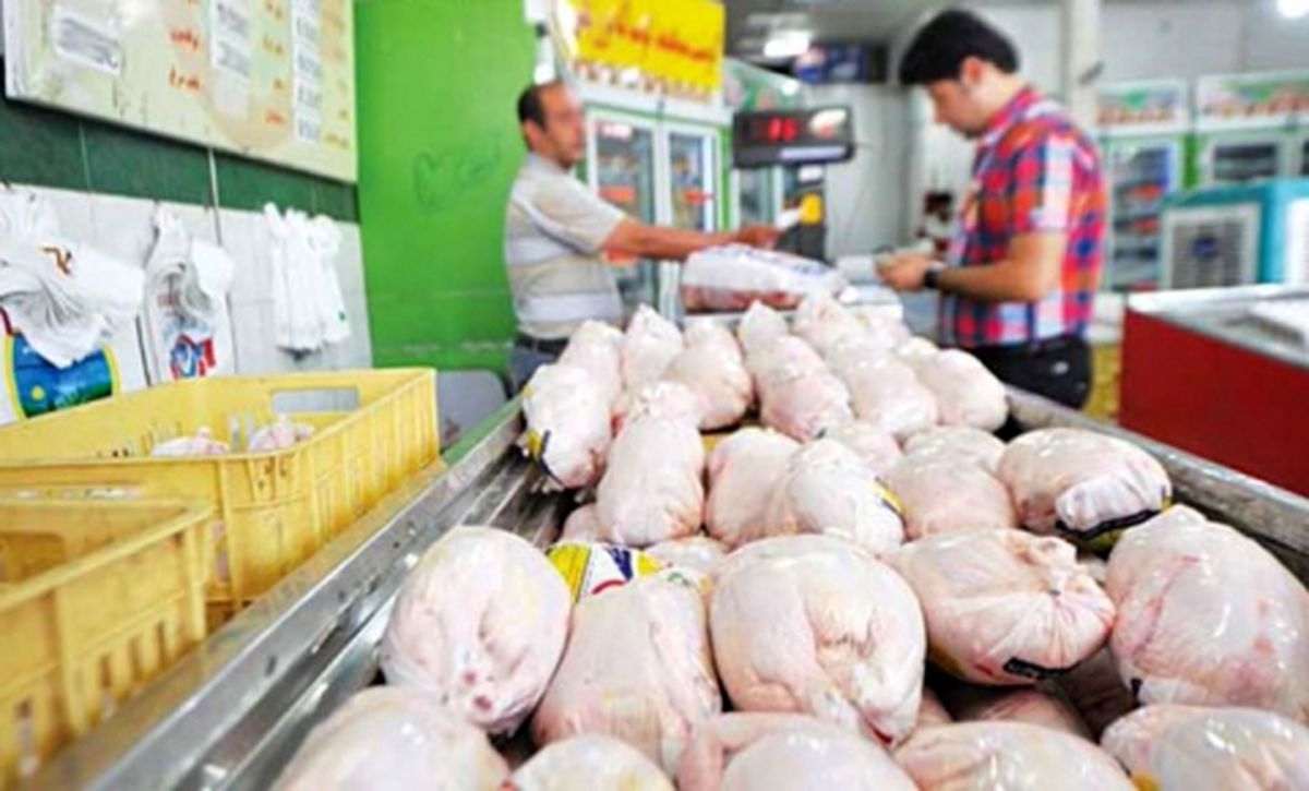 ۱۴۰۰ تن مرغ در هفت شهرستان جنوبی کرمان توزیع شد