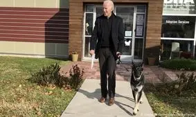 حیواناتی که با روسای جمهور آمریکا به کاخ سفید راه یافتند