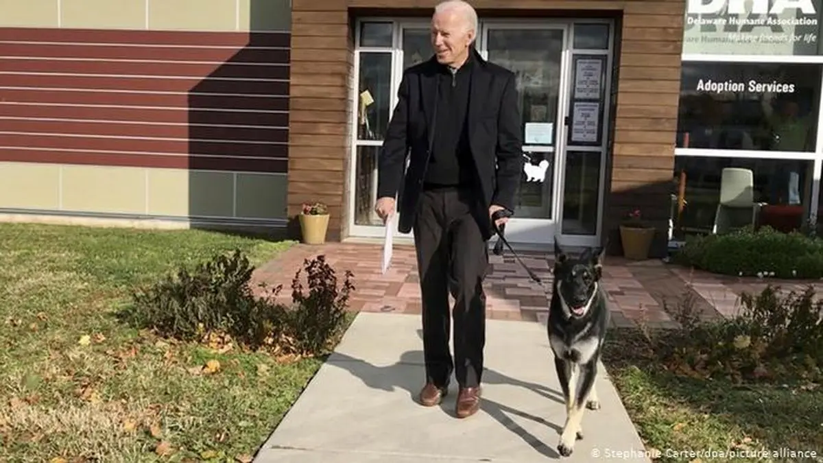 حیواناتی که با روسای جمهور آمریکا به کاخ سفید راه یافتند