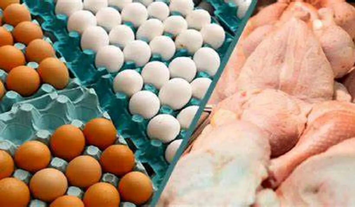 یکی از اصلی‌ترین دلایل نابسامانی بازار مرغ و تخم مرغ، متولیان متعدد است/ ویدئو