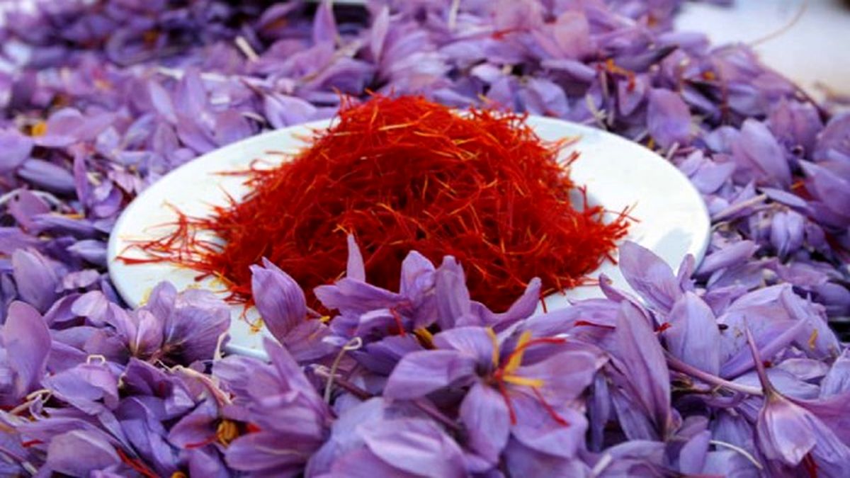 خرید حمایتی زعفران در خراسان رضوی از مرز ۹ تن گذشت
