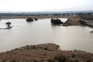۲۲میلیون مترمکعب از حجم سیلاب‌های استان بوشهر کنترل شد