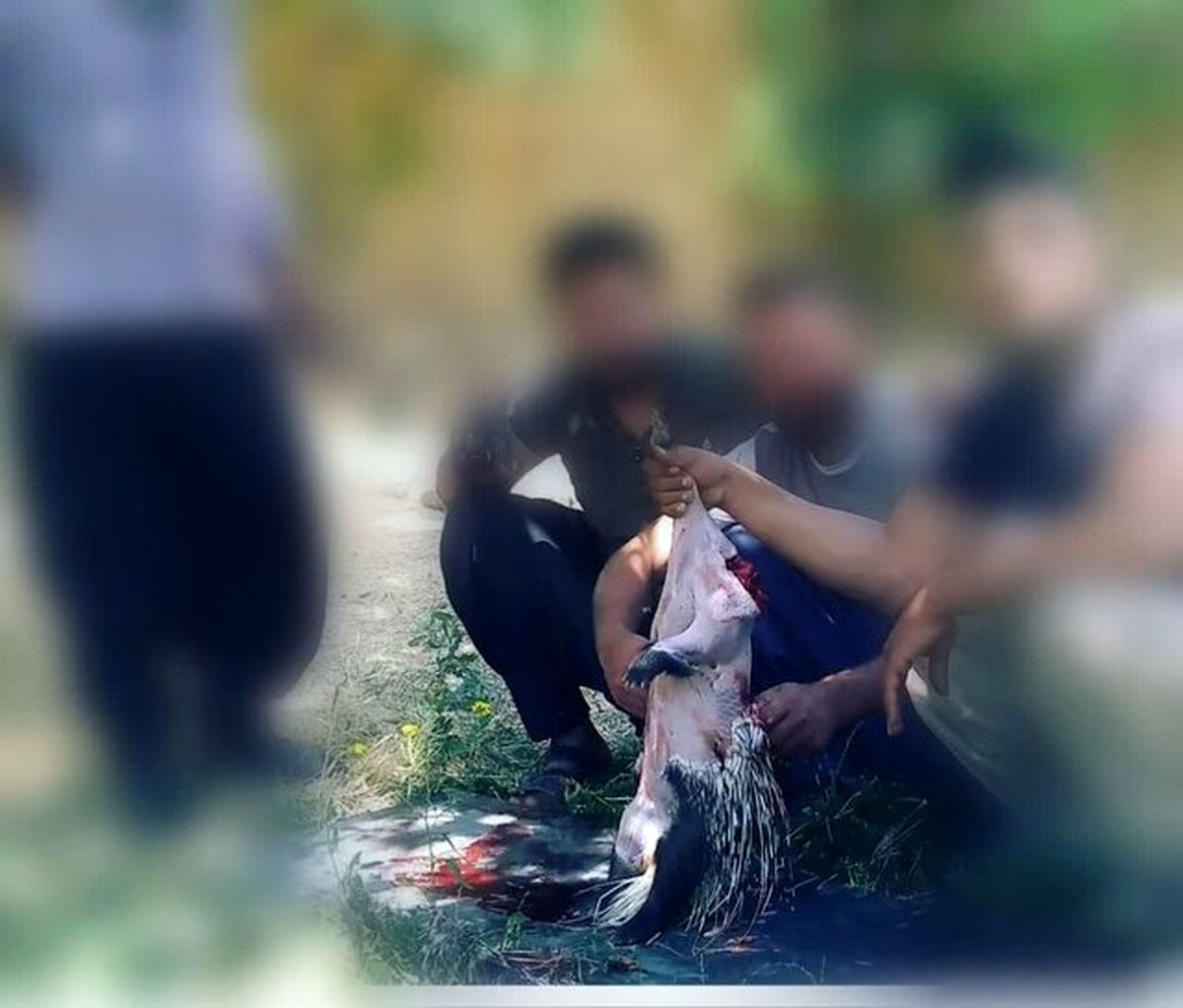 فضای مجازی شکارچی بیرحم در شهرستان رزن را لو داد