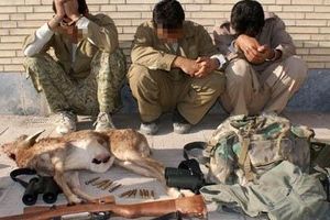 دستگیری ۶۶ شکارچی متخلف در خراسان رضوی