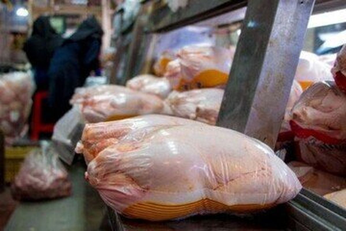 ادامه توزیع مرغ منجمد در خوزستان / برنامه‌ای برای توزیع گوشت سرد نداریم
