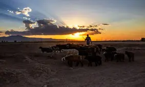 توانمندسازی خانوارهای روستایی کرمان زمینه‌ساز اشتغال پایدار