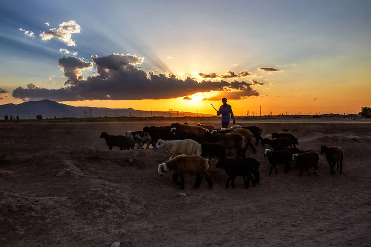 توانمندسازی خانوارهای روستایی کرمان زمینه‌ساز اشتغال پایدار