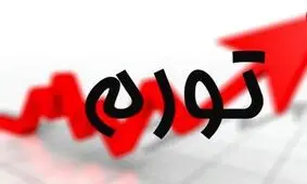 گرانی‌های یک سال اخیر که دولت قبول دارد!/ اینفوگرافی