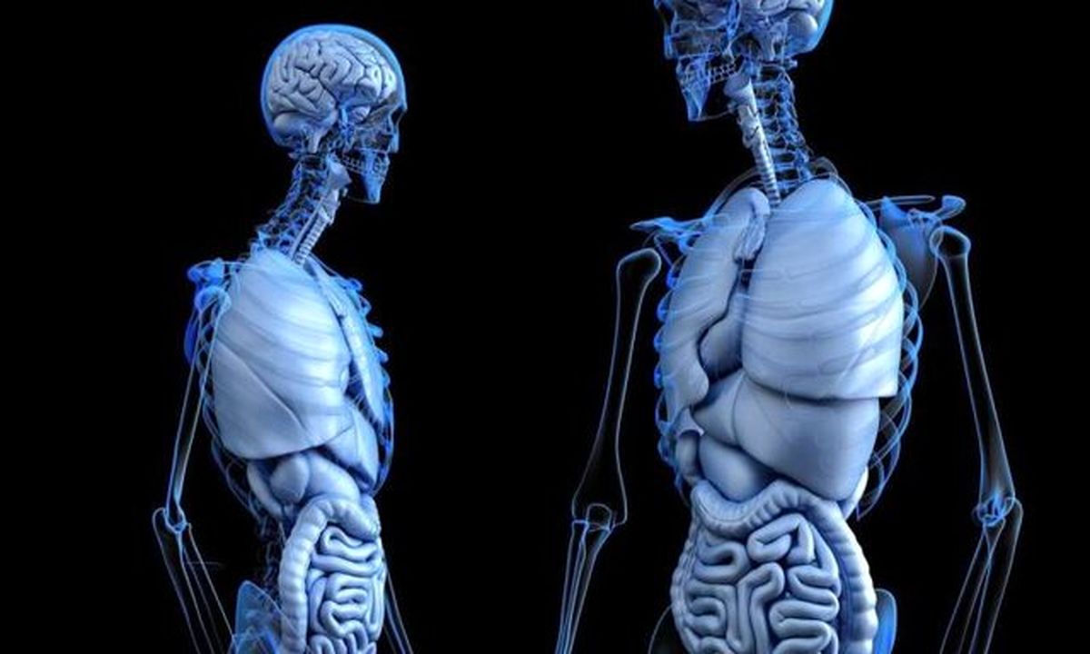 یک توصیه برای سلامت استخوانها پس از جراحیِ کاهش وزن