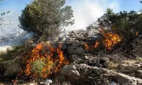 خرید بالگرد اطفای حریق مطالبه سازمان محیط زیست