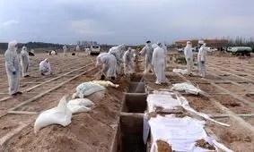 کرونا تاکنون جان ۲۴۴۹ نفر را در البرز گرفته است