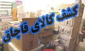 ۵۲۳ تن کالای قاچاق در ری کشف شد