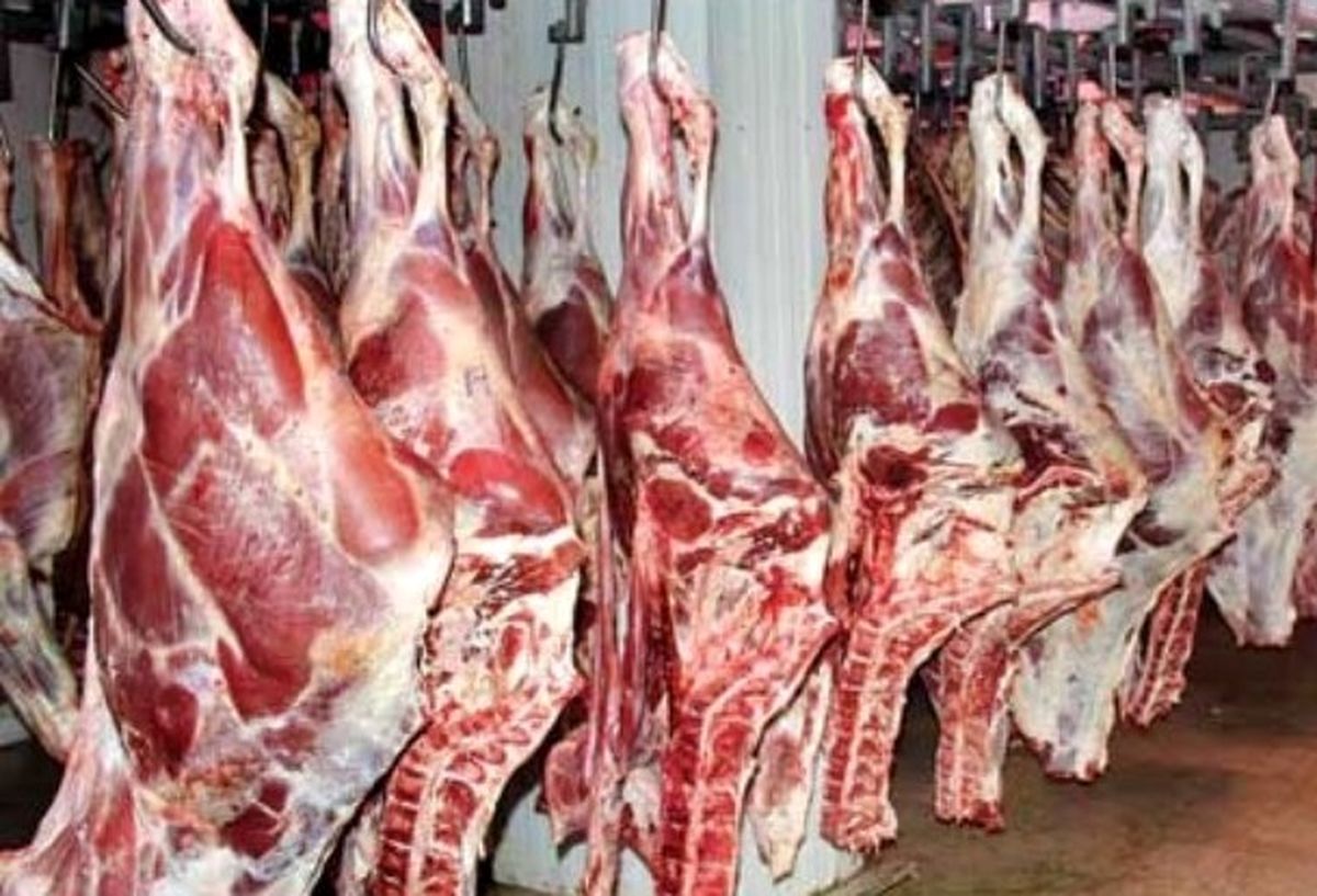 33 تن گوشت احتکاری در بندرعباس کشف شد