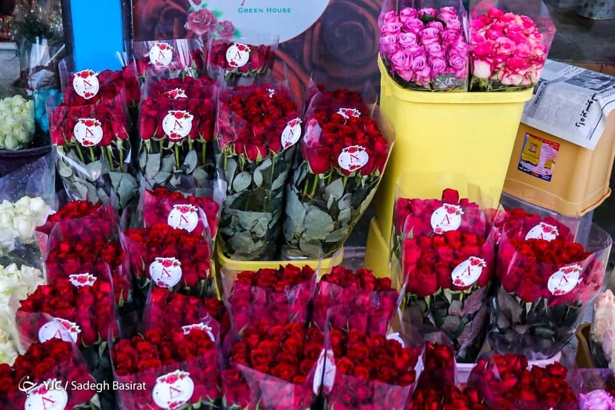 قیمت انواع گل برای شب یلدا