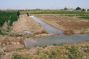 تغییرکاربری اراضی آفت کشاورزی اصفهان که باید جدی گرفت