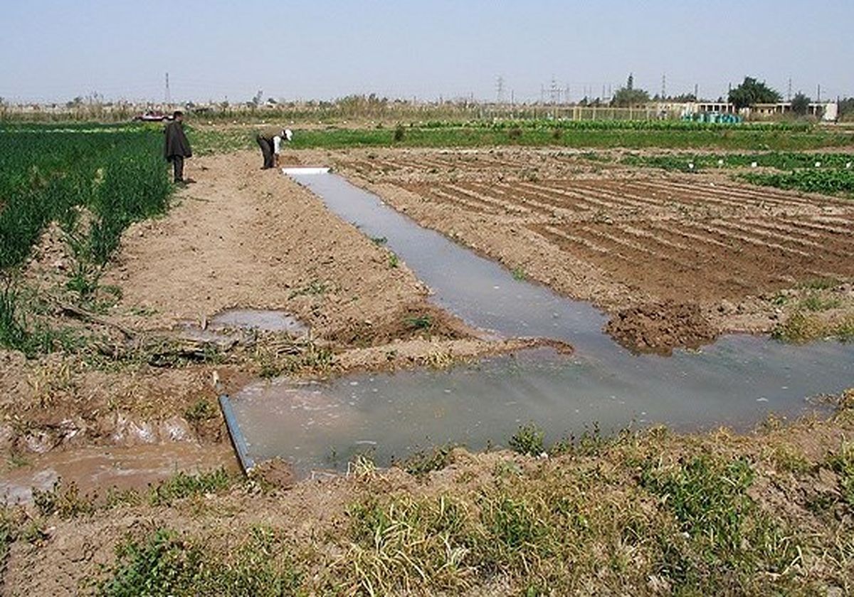 تغییرکاربری اراضی آفت کشاورزی اصفهان که باید جدی گرفت