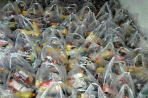 ۵۲۰ بسته حمایتی هلال احمر فردوس بین نیازمندان توزیع شد