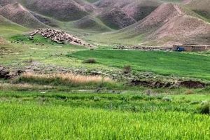 رشد ۷ برابری اجرای طرحهای مرتع داری در اراضی آذربایجان غربی