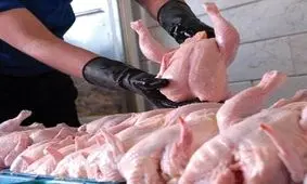 شستن یا نشستن مرغ چقدر مهم است؟