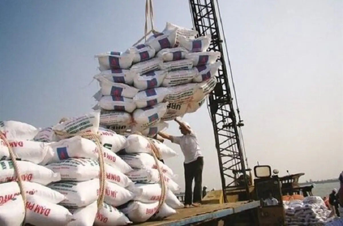 قیمت برنج هندی و پاکستانی اعلام شد