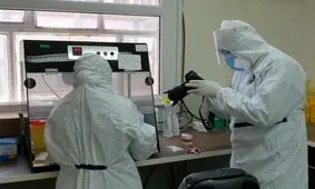 ماجرای ۱۶ سال فداکاری و گذشت پرستار بخش آزمایشگاهی اردبیل/ بی مهری به پرستاران گروه آزمایشگاهی/ ویدئو