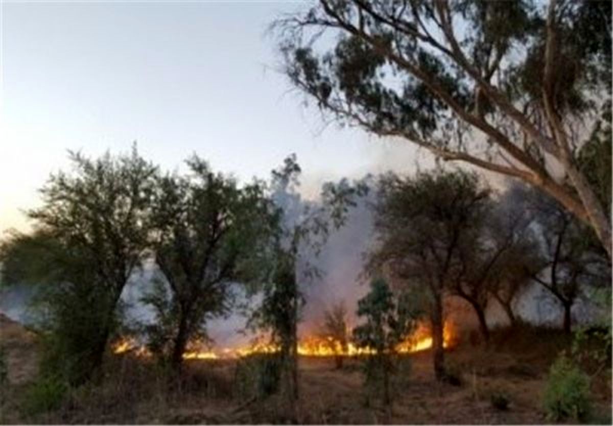 گسترش آتش سوزی جنگل‌های اندیمشک/ بالگرد امداد به الوار گرمسیری اعزام شد
