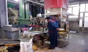 ۲ کارگر براثر سقوط در سیلوی خوراک دام در دزفول جان باختند