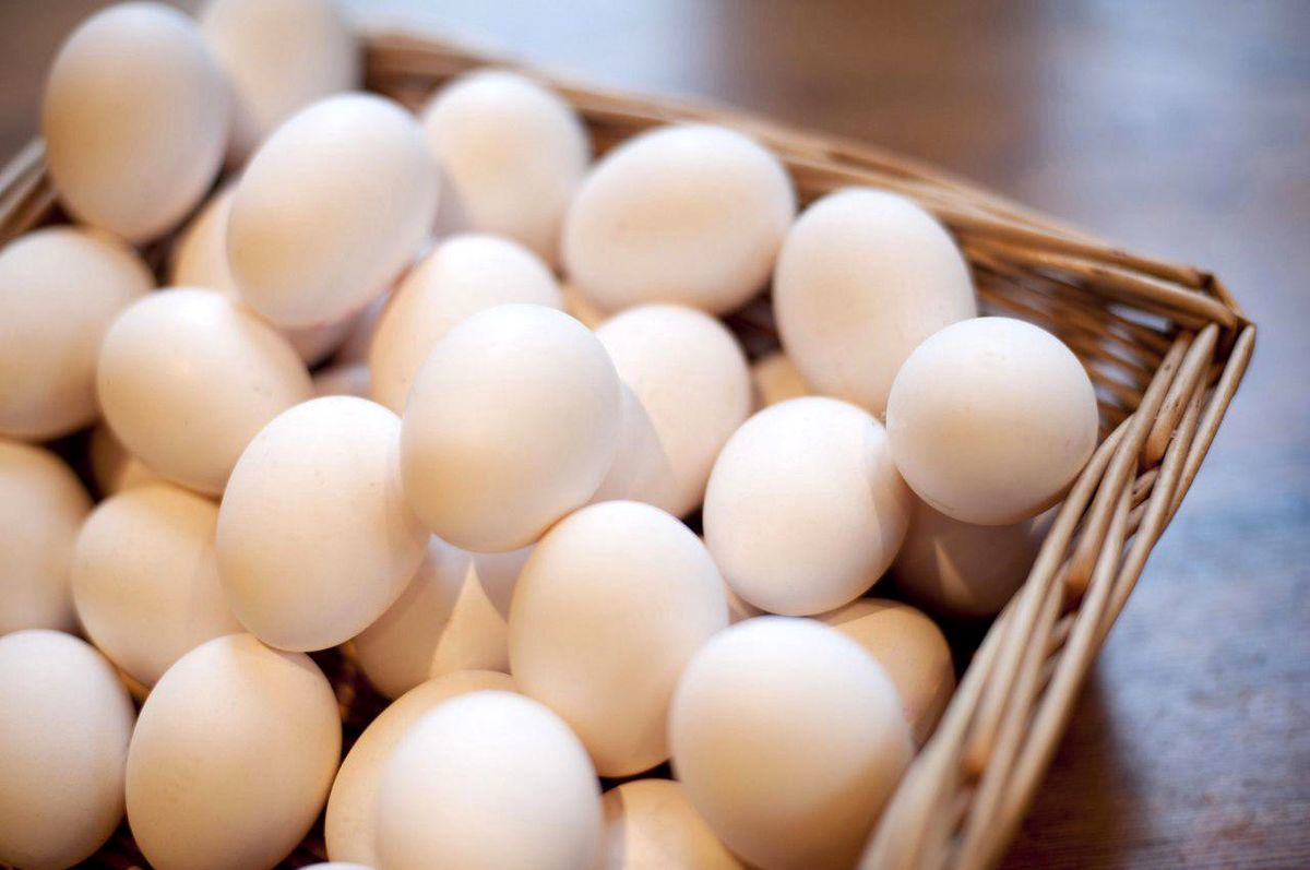 یک شانه تخم مرغ باید ۳۳ هزار تومان باشد نه ۴۰ هزار تومان