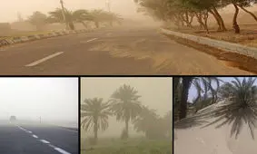 مالچ پاشی روی زخم کویر/ زندگی مردم زیر خروارها شن دفن می‌شود