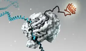 پیامرسان RNA واکسن کرونا را برای ما آورد؛ آیا درمان را هم خواهد آورد؟