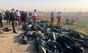 اظهارات مقام اوکراینی در مورد گزارش سانحه سقوط هواپیما