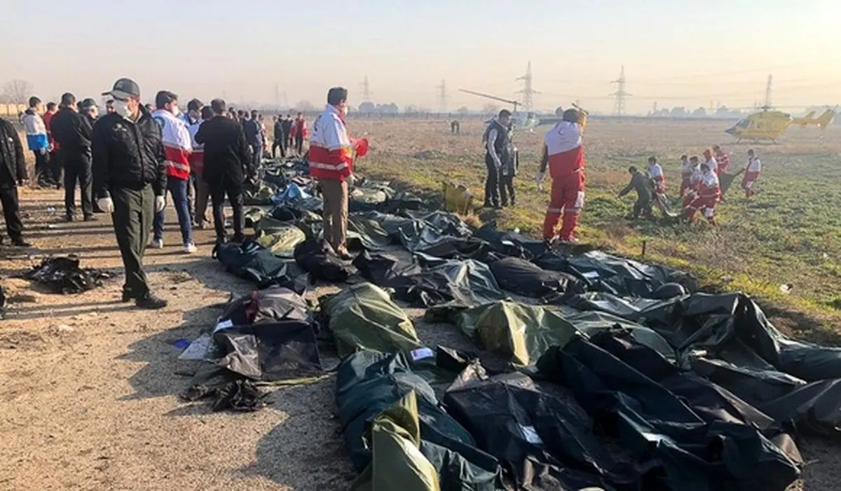 اظهارات مقام اوکراینی در مورد گزارش سانحه سقوط هواپیما