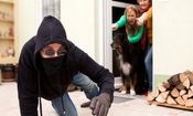 دزد می‌تواند از صاحب‌خانه شکایت کند!