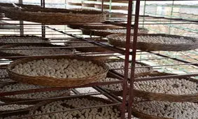 لبنیات با کیفیت شهربابک، زمینه ساز اشتغال پایدار