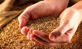 پرداخت زکات مال در مهریز ۷۰ درصد افزایش یافت