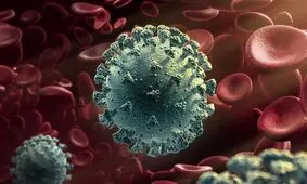 منشاء ویروس جهش یافته کرونا کجاست؟