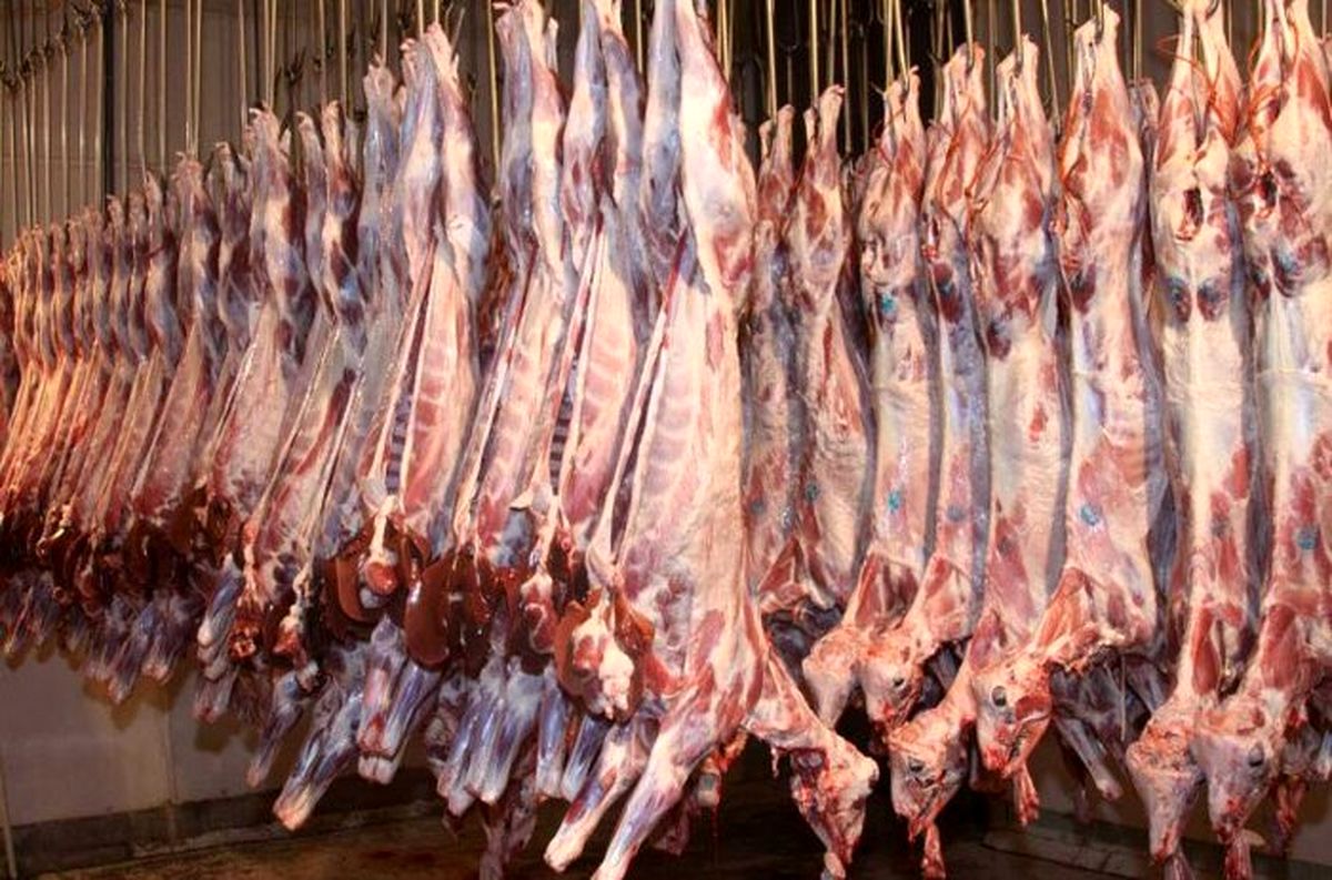 برف‌ قاچاق دام را مختل کرد؛ عرضه در داخل افزایش یافت/ قیمت گوشت نزولی شد