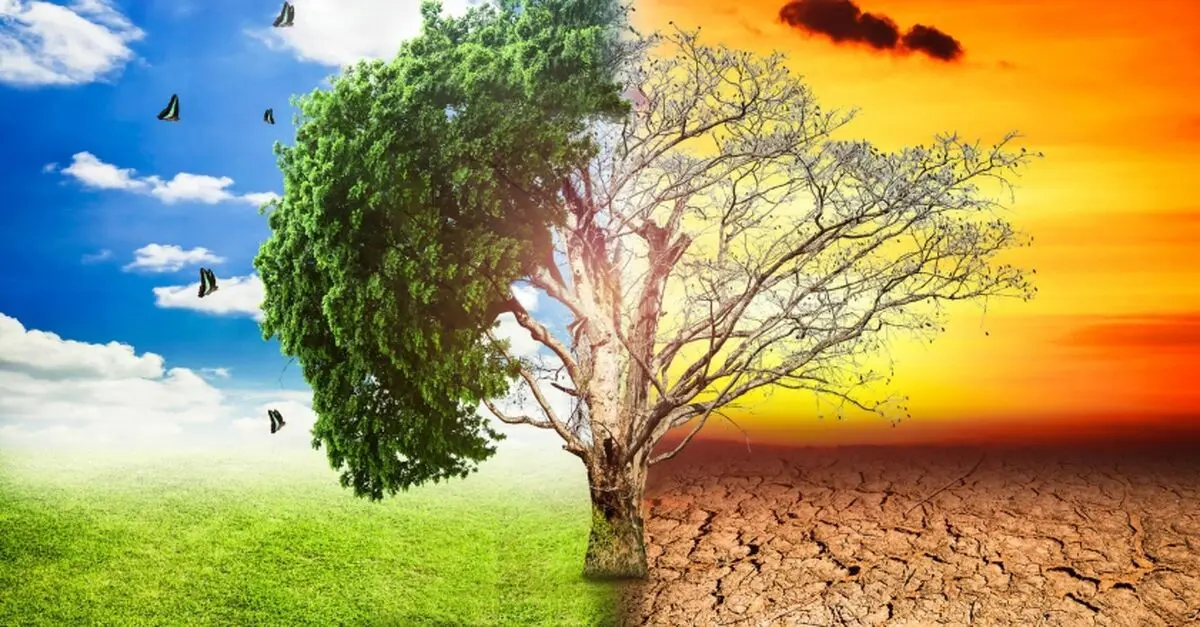 تهدیدهای زیست محیطی چالش پدافند غیرعامل در استان سمنان است