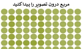چند معمای تصویری که قدرت بینایی تان را می‌سنجند