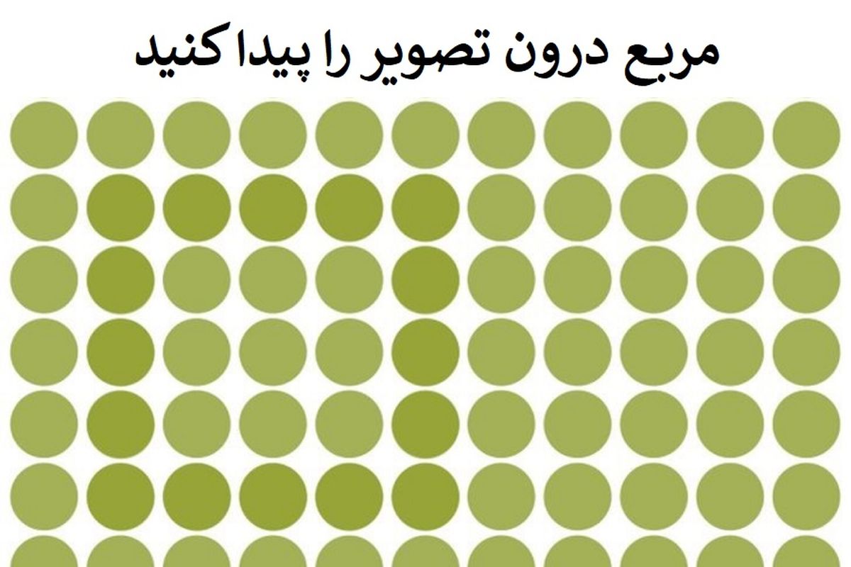 چند معمای تصویری که قدرت بینایی تان را میسنجند