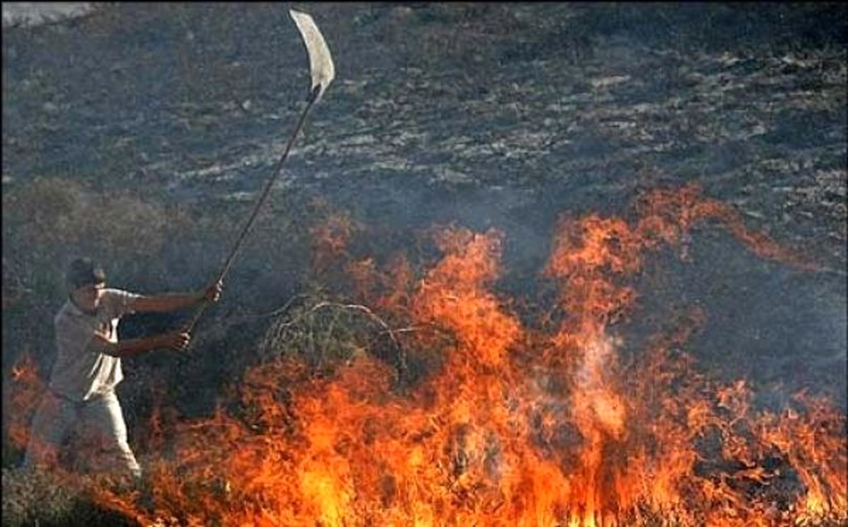 سخنگوی کمیسیون کشاورزی در گفتگو با خبرفوری: سازمان محیطزیست وجنگلها ضعیف عمل میکنند؛اطفای حریق جنگل با بیل و شاخ و برگ/ لایحه حمایت از محیطبانان هنوز به کمیسیون ارجاع نشده