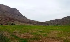 هفت هکتار از اراضی ملی گتوند خلع ید شد