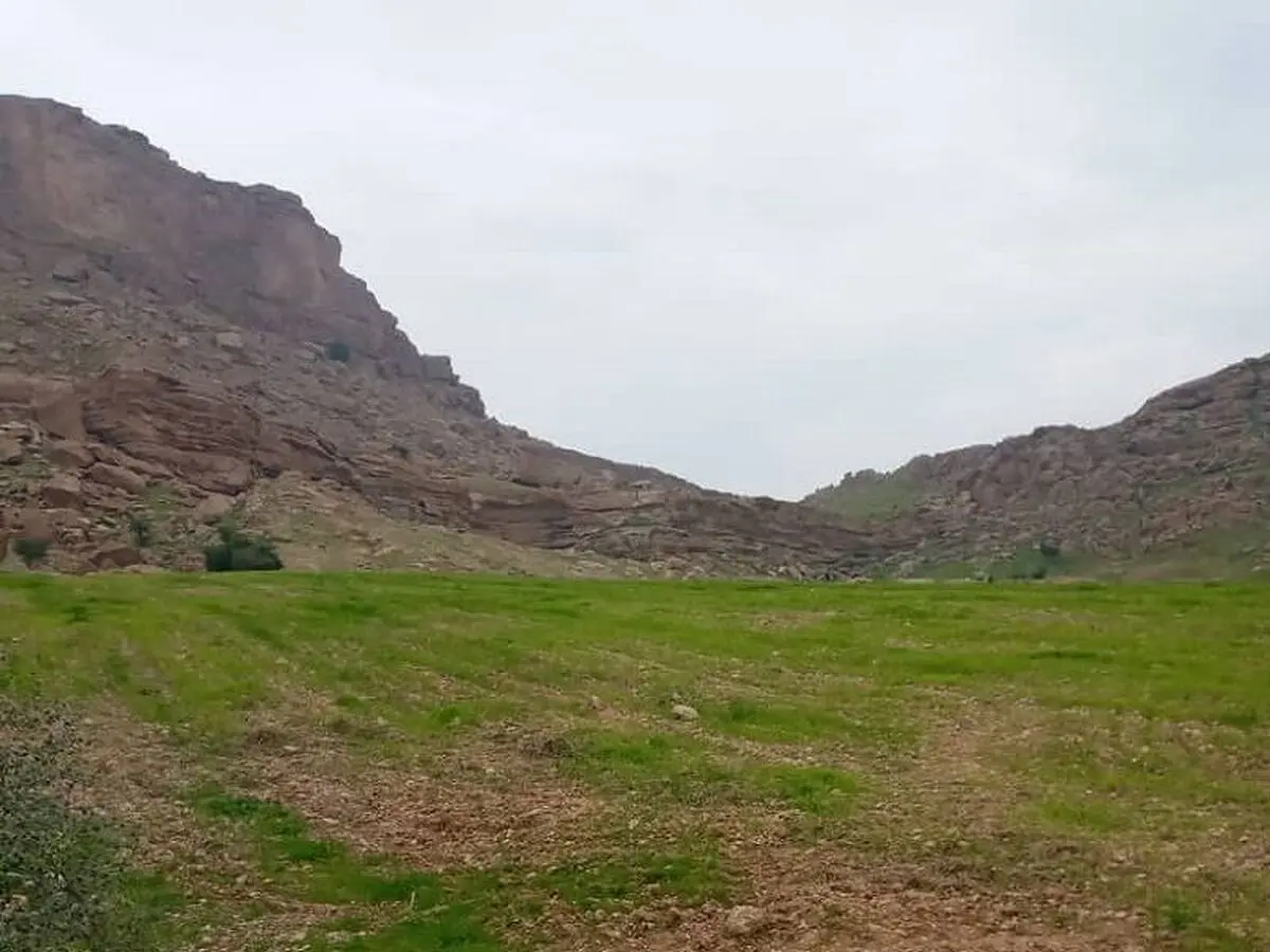 هفت هکتار از اراضی ملی گتوند خلع ید شد
